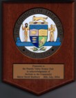Council Service Award